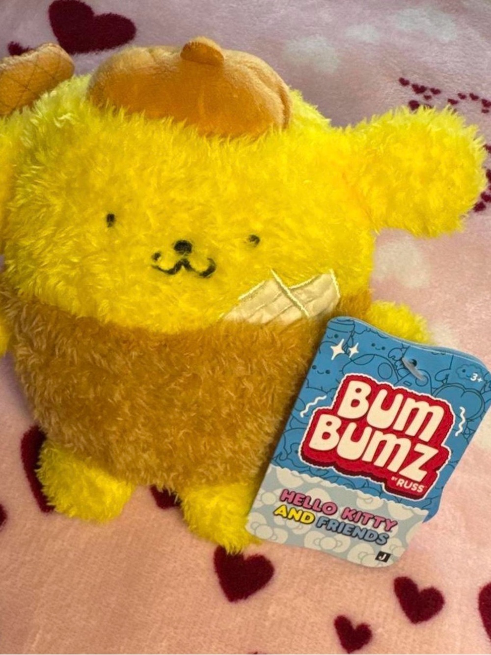Russ Bum Bumz pompomourine: Hello Kitty Friends Character